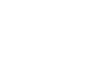 One Portföy