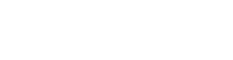 Pulse